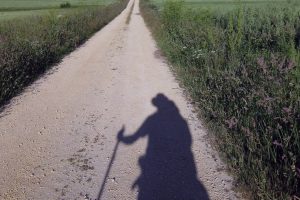 Lee más sobre el artículo RECUPERARNOS COMO SERES HUMANOS (Parte Segunda)