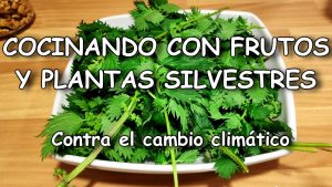 Lee más sobre el artículo COCINANDO CON FRUTOS Y PLANTAS SILVESTRES. Contra el cambio climático